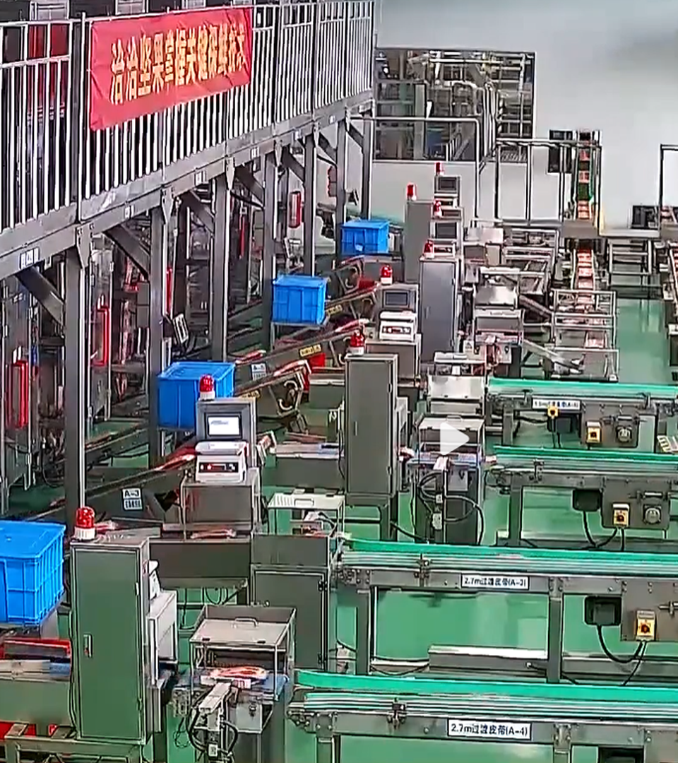 2020年ballbet透明工厂直播